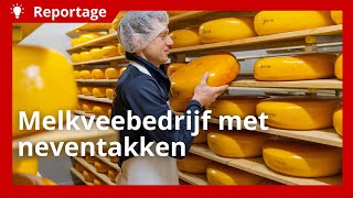 Van melkveehouderij naar veelzijdige boerderij met neventakken