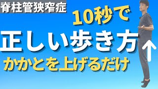 【脊柱管狭窄症 歩き方】たった10秒かかとを上げるだけ！正しく歩けるリハビリ