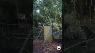 #Shorts #Noor Lake  #Tirur #Wedding Outdoor location#Eco tourism #viral video