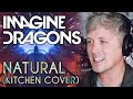 IMAGINE DRAGONS: NATURAL (kitchen cover)
