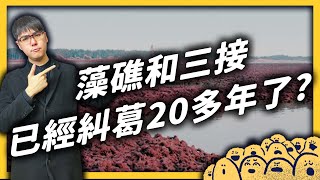 三接為何要蓋在大潭？大潭藻礁有多稀有？解密藻礁與三接超過 20 年的糾葛！珍愛藻礁公投爭議剖析（上集）｜志祺七七