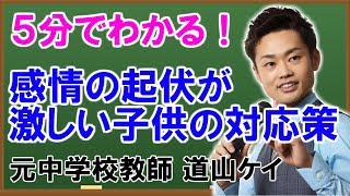 【感情の起伏が激しい・すぐイライラする】子どもへの対応策 （道山ケイ）