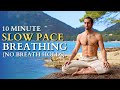 Guided Breathwork For Feminine Energy I Slow Paced Breathing