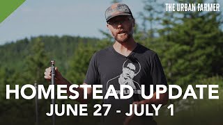 Curtis' Weekly Homestead Update: June 27 - July 1 2022