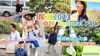 【2023年5月 尾瀬 Vo.1】大霜が降りたあとの水芭蕉は大丈夫？　尾瀬歩荷の皆さま『Japanese porter』に新年の⁉︎ごあいさつ　鳩待峠〜山の鼻編#oze #尾瀬国立公園