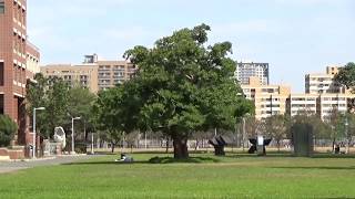 國立成功大學 - NCKU Tzu Chiang Campus, Tainan, Taiwan