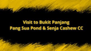 Visit to Bukit Panjang Pang Sua Pond \u0026 Senja Cashew CC