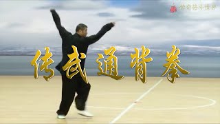 【传武拳法】通背拳