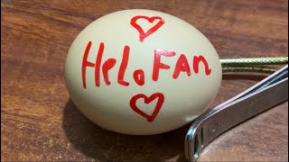 Raw egg peeling challenge : ASMR Live #137