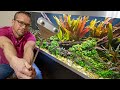 AQUASCAPE MAINTENANCE MADE EASY