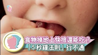 《食物掉地上快撿還能吃嗎？「5 秒鐘法則」行不通》【育兒幫寶典】《聰明教養》│寶貝幫TV