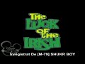 Luck of the Irish - Disney Channel Romania Intro