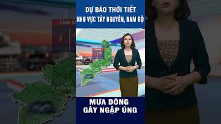 Thời tiết ngày 6/6 | Tây Nguyên và Nam Bộ mưa to gây gập úng