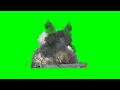 real building demolition green screen hd