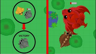 CRAZY KILLS AND CLUTCH MOMENTS!!! Mope.io