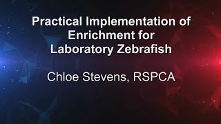 Practical Implementation of Enrichment for Laboratory Zebrafish