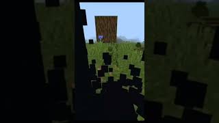 Minecraft# short #video#591