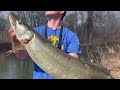 glide baits for early spring musky fishing in cold water