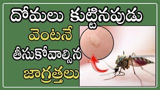 దోమలు కుట్టినప్పుడు | Precautions should be taken immediately after mosquito bite