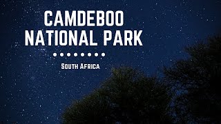 Karoo Trip | Wildlife and Camping in Camdeboo National Park, South Africa (Episode 2)