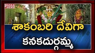 శాకంబరి దేవిగా కనకదుర్గమ్మ : విజయవాడలోని ఇంద్రకీలాద్రిపై ప్రారంభమైన శాకంబరీ దేవి ఉత్సవాలు