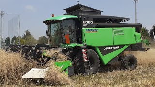 TREBBIATURA COLZA: DEUTZ FAHR 6060 HTS | SAME SILVER 110 | CRESSONI CRX SOJAFLEX | ZACCARIA