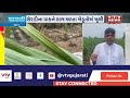 surat news શેરડી પકવતા ખેડૂતો માટે રાહતના સમાચાર vtv gujarati