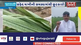 Surat News:  શેરડી પકવતા ખેડૂતો માટે રાહતના સમાચાર | VTV Gujarati