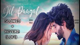 Dil Paagal Slowed + Reverb (Lofi) | Laqshay Kapoor & Roshni Walia | New Bollywood Song 2024