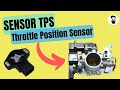 Complete Explanation of TPS Sensor (Throttle Position Sensor)