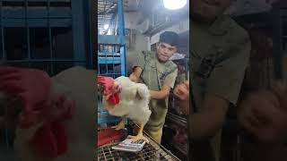 Big Chicken Cutting | Foodie Man | BD Chicken Cutting | Chicken Cutting #shorts