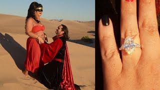 THE PROPOSAL