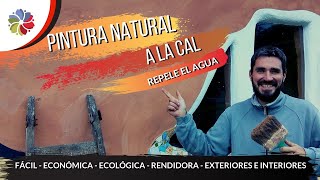 🎨 Cómo hacer PINTURA ECOLÓGICA y MUY ECONÓMICA a la CAL | con HUEVO o NOPAL (Int y Exterior).