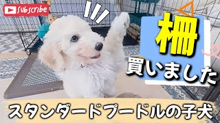 スタンダードプードルの子犬のために大型犬用の柵を買いました！I bought a large dog cage for my Standard Poodle puppy!