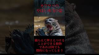 【ゆっくり解説】カワウソのやばい本当の姿