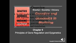 Ch06 Module 3 Epigenetic dysregulation