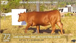 LOTE 72 CORO 2400