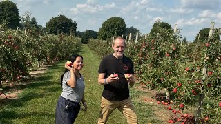 MY FIRST APPLE PICKING |APPLE LAND STATION