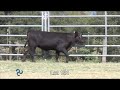 lot 131 cain 763y2