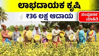 ಉತ್ತಮ ಆದಾಯ ಸಿಗುವ ಸೇವಂತಿಗೆ ಹೂವಿನ ಕೃಷಿ | ವರ್ಷಕ್ಕೆ 36 ಲಕ್ಷ ಆದಾಯ | Sevanthige Flower Farming In Kannada