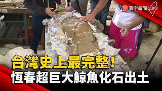 台灣史上最完整！恆春超巨大鯨魚化石出土@globalnewstw