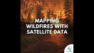 Mapping Wildfire Damage in LA Using Geospatial Data