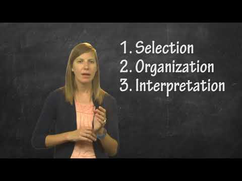 How are social perceptions formed and changed?