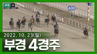 (부산)'22.10.23.4R 2세 아르크투루스 1600M 접수, 6세 선마운틴 은경이랑 또 올라왔네!