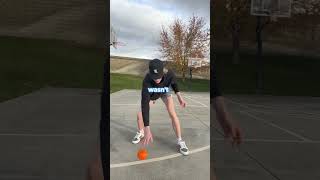 $1 BASKETBALL vs $100 BASKETBALL