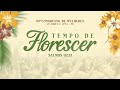 20º Congresso de Mulheres - Templo Central - Ieadalpe - Ao Vivo - 11/07/2024   - 4º DIA TARDE