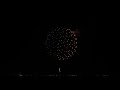 【2022】第2回花火甲子園 競技花火「5号玉創造花火」【laguna beach fireworks competition】