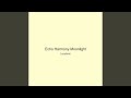 Echo Harmony Moonlight