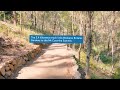 brisbane walking trails spotted gum trail at mt coot tha