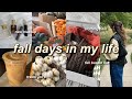 FALL VLOG 🍁🎃 fall shopping, clothing haul, pumpkins, fall bucket list, trader joes, & more! 2024